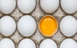 صادرات ۳ هزار تن تخم مرغ از اول سال، رقم بالایی نیست