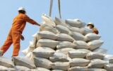 ثبت سفارش واردات برنج همچنان ممنوع است